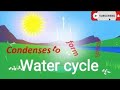 The Journey of Water Through The Water Cycle