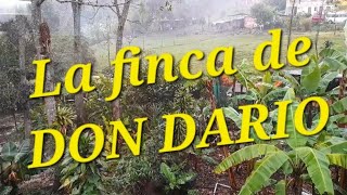 LA FINCA DE DON DARIO