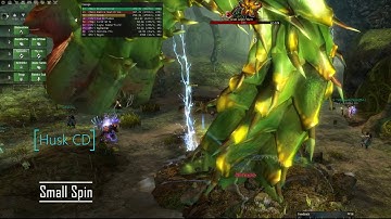 GW2 - RnT TT Amber Block