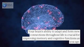 Prevent Memory Loss & Enhance Cognition With These Strategies To Boost Neuroplasticity