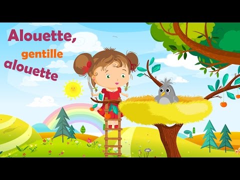 Video: ¿Qué es un pájaro Alouette?