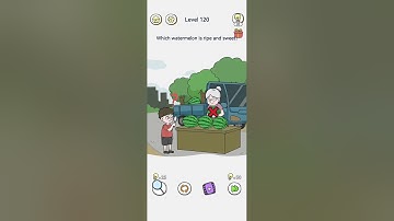 brain out 2 level 120