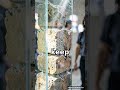 Serbia Preserves Ancient Ruins Under Glass Floors68b26e8 56ee 467f 90f6 d53deefb8576 final