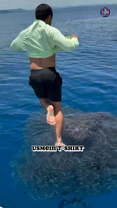 Download lagu A Man Jumped Into a Fish Bait Ball 😨#viral