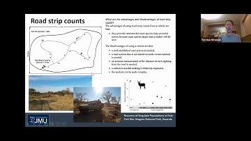 Animal Identification, Population estimation and census techniques by Torsten Wronski