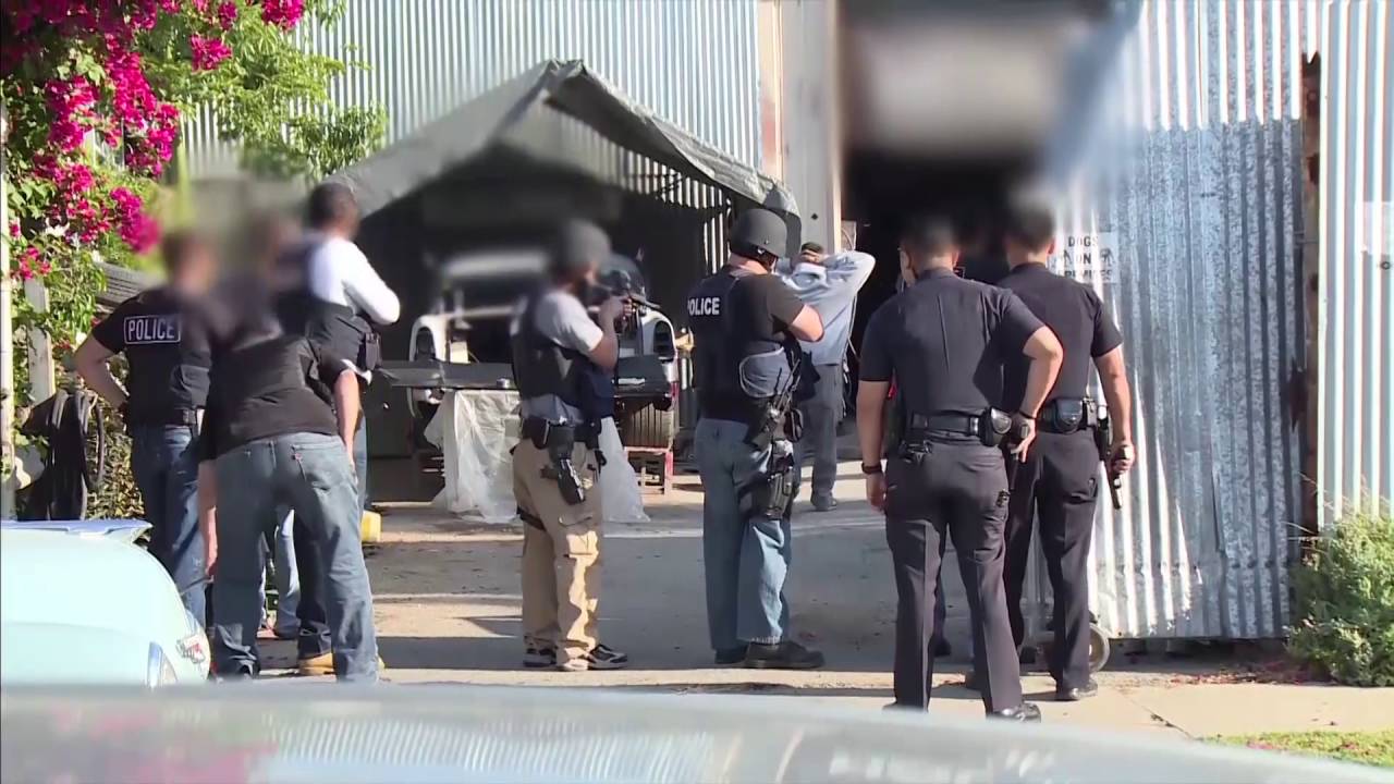 homeland security investigations