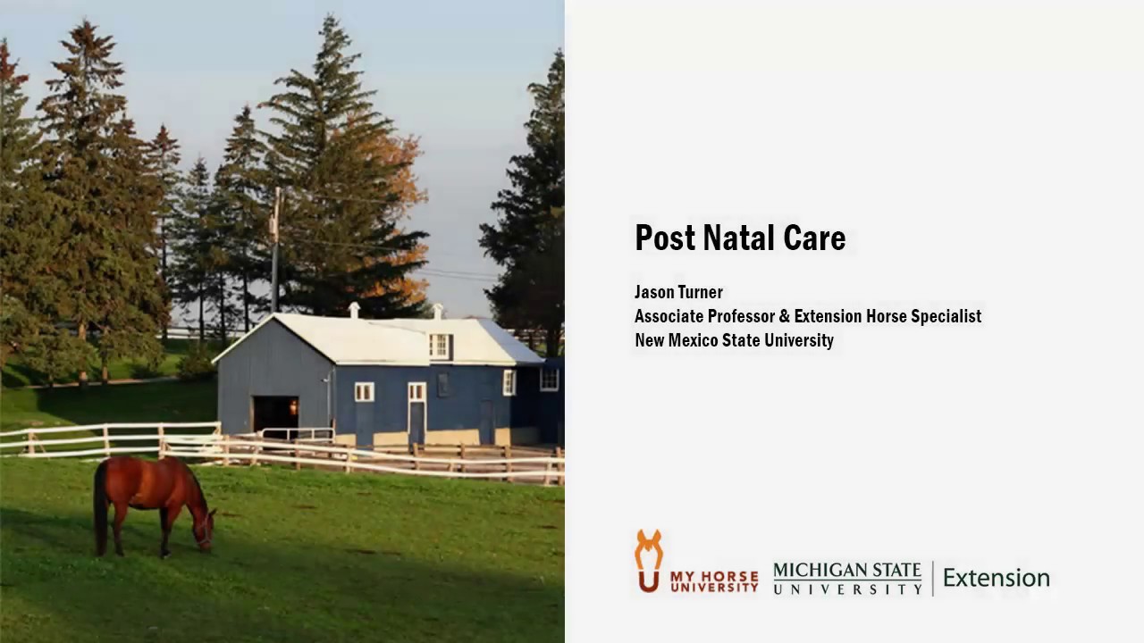 Post Natal Care