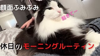 休日猫との【モーニングルーティン】アラームより先に起こしてくる猫様『りん様』ノルウェージャンフォレストキャット