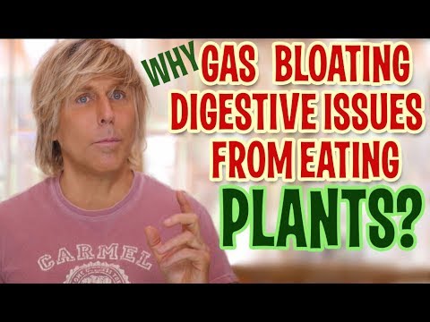 gas,-bloating,-digestive-issues-when-eating-plants