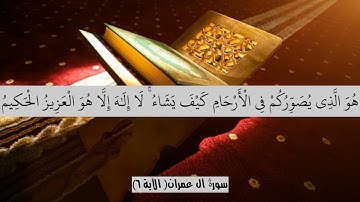 آياتٌ مختارةٌ مِنَ الذكرِ الحكيم سورةُ آل عمران (الآية ٦ ) #هل_القرآن_الأبرار