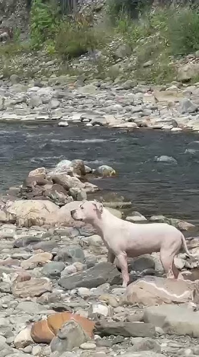 youtube.com