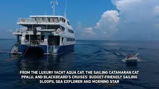 Find Your Perfect Liveaboard Dive Vacation in the Bahamas