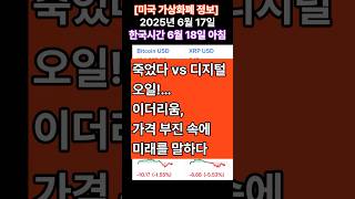 [미국 가상화폐 정보 2025년6월17일 : 한국시간6월18일 아침] 죽었다 vs 디지털 오일!”…이더리움, 가격 부진 속에 미래를 말하다