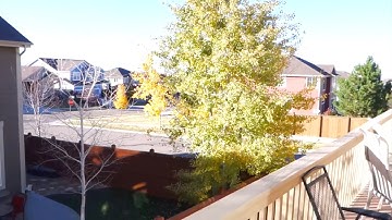 iOS 10   10 1  Get Paid Apps Games + In App Purchases FREE NO JAILBREAK Install VShare