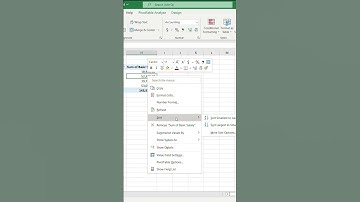 How to Sort Data in Pivot Tables?