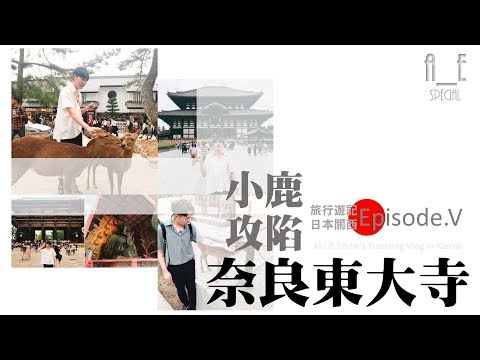 奈良VLOG《小鹿攻陷奈良東大寺》｜A__E的旅行遊記〔關西篇〕Episode. Five//奈良//Nara//鹿//斑比