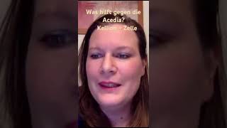 Was hilft gegen die Acedia Teil 2 leben sehnsucht acedia katechese dämonen kampf