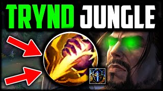 Tryndamere Jungle is CRAZY STRONG - How to Tryndamere Jungle & CARRY for Beginners League of Legends