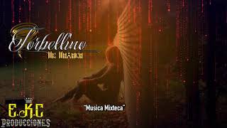 Video thumbnail of "Musica Mixteca-Torbellino De Oaxaca"