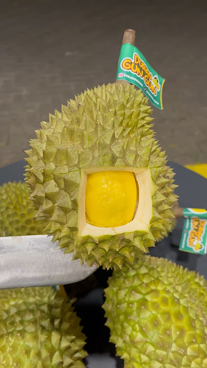 DURIAN 3.1 MILLION #durian #masduren