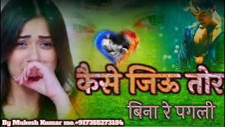 kaise jiu tor bina re pagli cg bewafai song