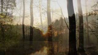 Video thumbnail of "Saulius Mykolaitis - Matrica"