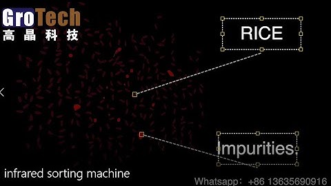 Why all brands of color sorting machines can not claim to sort out 100% of impurities