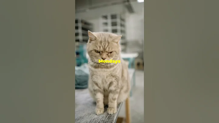 AI generated memes - Here's how #facts #technology