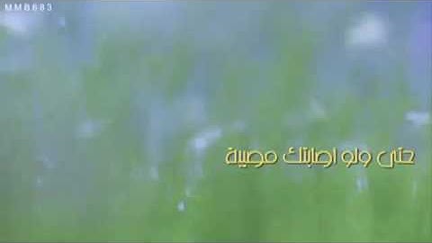 ما دمت تقرأ الاذكار ف ابشر بكل خير 🌿. الشنقيطي .