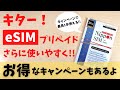 eSIM対応のプリペイドSIMが発売!! 15GB/2,980円～ 最長1年使える 期間内ならデーター通信量超過後も最大128kbpsで通信可能です。便利な残量通知 リマインダーSMSにも対応