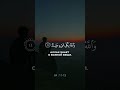 Сура ат-Тагабун 11-13 short #shorts