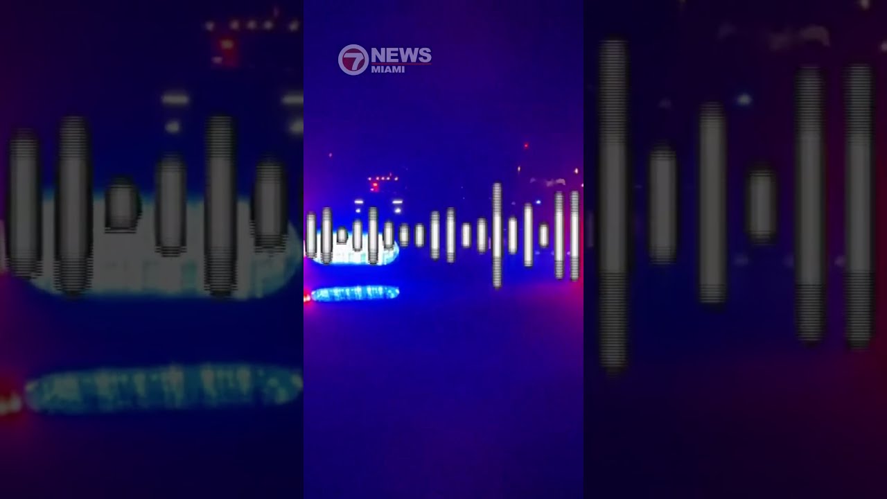 Bystander Detained After Shooting 2 Robbery Subjects Outside Dania Beach 7 Eleven Killing 1