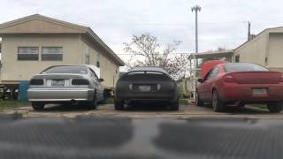 Civic vs Eclipse vs Neon
