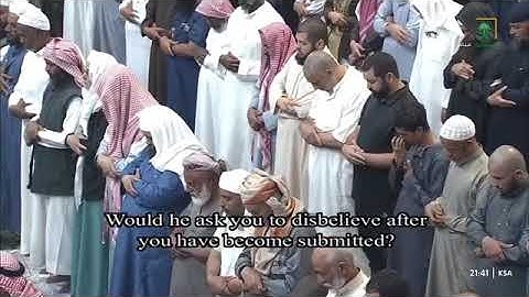 تلاوة مُحبرة من سورة آل عمران {75-92} للشيخ أ.د. #عبدالرحمن_السديس | تراويح ليلة 4 رمضان 1446هـ