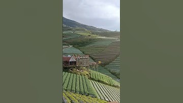 Negeri Sayur Sukomakmur, Magelang, Jawa Tengah