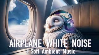 Airplane Ambience | White Noise + Ambient Music | 4 Hours screenshot 5