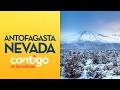 La SORPRENDENTE NEVAZÓN al interior de Antofagasta - Contigo en la Mañana