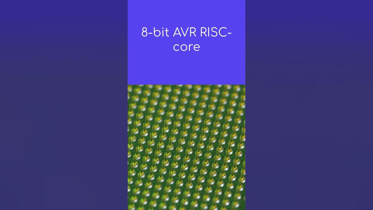 Exploring the Efficiency and Versatility of the 8-bit AVR RISC-core CPU ...