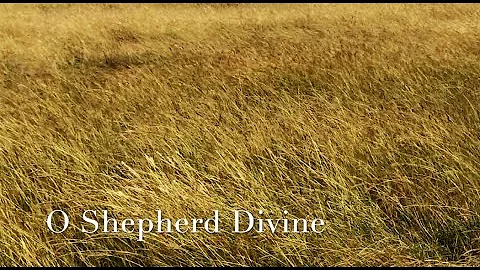 192 SDA Hymn - O Shepherd Divine (Singing w/ Lyrics)