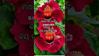 ମା ତୋ ପଣତକାନୀ | Maa To Panatakani | Studio Version | Odia Song | Sourav Bharadwaj | Devotional Song