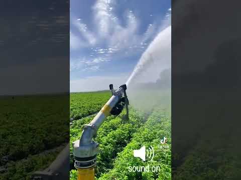 رشاش واحد يغني عن مئات من خراطيم الري