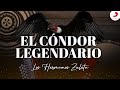 El Cóndor Legendario, Los Hermanos Zuleta - Letra Oficial