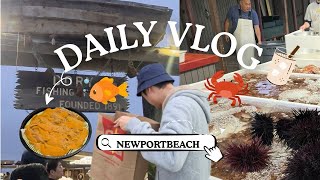 미국에서 싱싱한 성게, 게 해산믈을 저렴하게 사려면 여기로! 🦀 뉴포트 Dory fishing fleet 마켓 성공기 (+최애 Da Vien 바나나라떼)