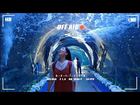 🐬 당일치기 여수여행! 한화 아쿠아플라넷에 다녀왔어요💙