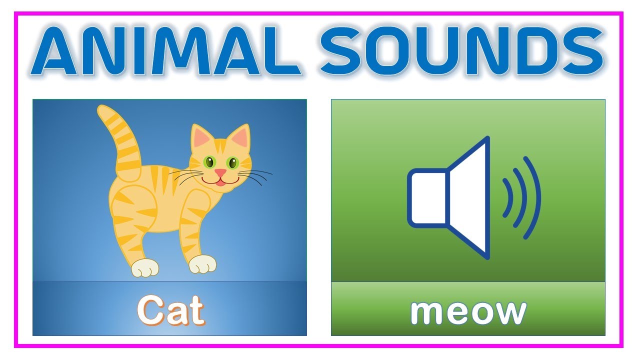 Animal Sounds for kids | Learn Animal name and sound for children - YouTube