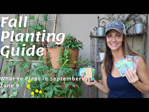 Fall Planting Guide| What to Plant in September Zone 9