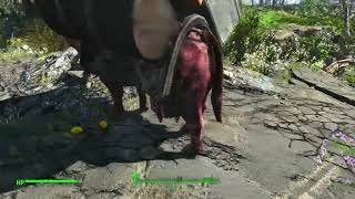 how to make your fallout 4 look better on xbox/pc