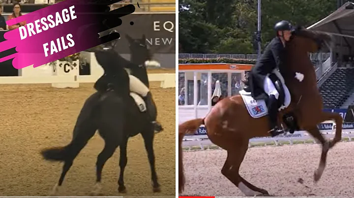 Dressage Fail: Starlite Gets Star struck & The Ult...