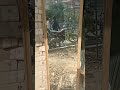 ✓ Mirror 16*48 with plastic frame front side By MT bronto Group