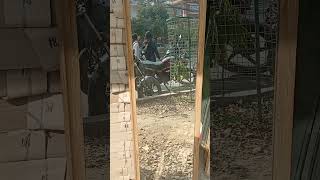 Mirror 1648 With Plastic Frame Front Side By Mt Bronto Group